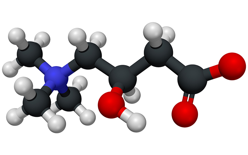 Acetyl -l- carnitine HCl