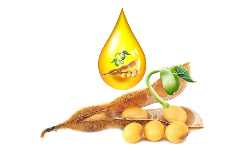 Lecithin từ đậu nành