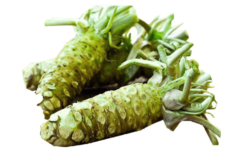 Mù tạt xanh