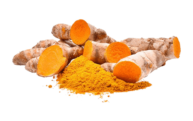 Nghệ