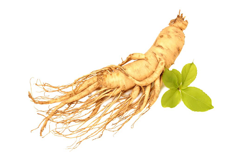 Rễ nhân sâm Mỹ