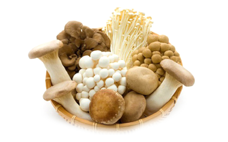 Vitamin B2