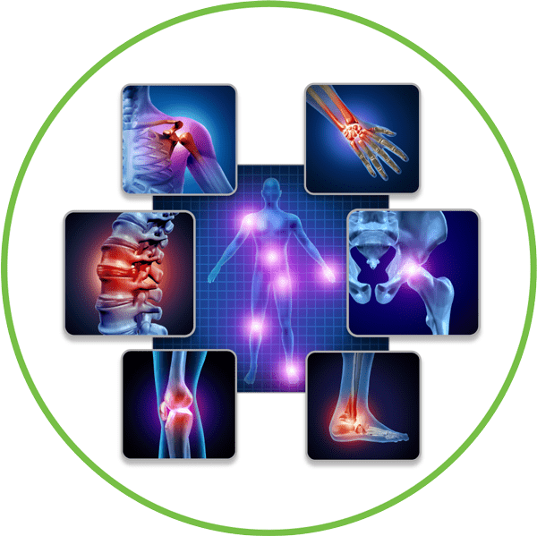 Cấu tạo và chức năng hệ thống xương