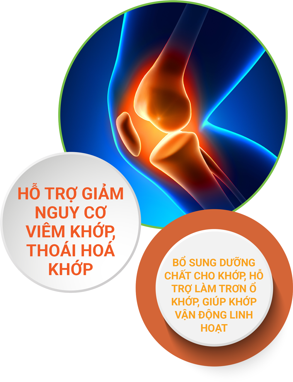 Jon – giảm thoái hoá khớp